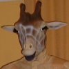 Paul
